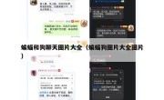 蝙蝠和狗聊天图片大全（蝙蝠狗图片大全图片）