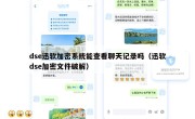 dse迅软加密系统能查看聊天记录吗（迅软dse加密文件破解）