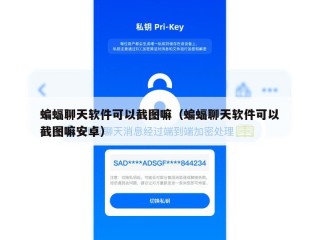 蝙蝠聊天软件可以截图嘛（蝙蝠聊天软件可以截图嘛安卓）