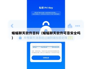 蝙蝠聊天软件百科（蝙蝠聊天软件可靠安全吗）