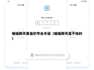 蝙蝠聊天里面的专业术语（蝙蝠聊天是干啥的）