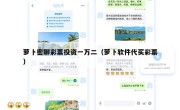 萝卜密聊彩票投资一万二（萝卜软件代买彩票）