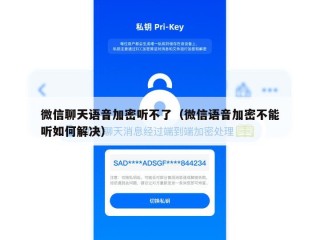 微信聊天语音加密听不了（微信语音加密不能听如何解决）