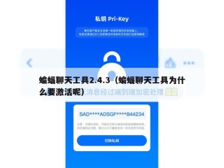 蝙蝠聊天工具2.4.3（蝙蝠聊天工具为什么要激活呢）