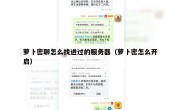 萝卜密聊怎么找进过的服务器（萝卜密怎么开启）