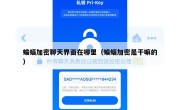 蝙蝠加密聊天界面在哪里（蝙蝠加密是干嘛的）