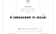 萝卜密聊信息加密原理（萝卜蜜怎么做）
