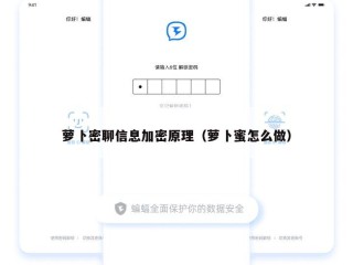 萝卜密聊信息加密原理（萝卜蜜怎么做）
