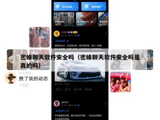 密蜂聊天软件安全吗（密蜂聊天软件安全吗是真的吗）