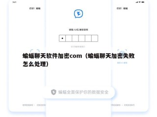 蝙蝠聊天软件加密com（蝙蝠聊天加密失败怎么处理）