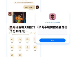 华为语音聊天加密了（华为手机微信语音加密了怎么打开）