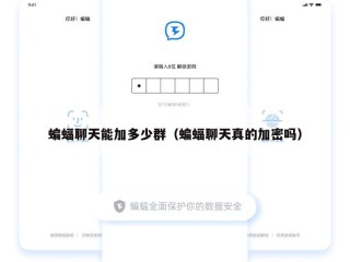 蝙蝠聊天能加多少群（蝙蝠聊天真的加密吗）