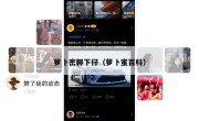 萝卜密聊下仔（萝卜蜜百科）
