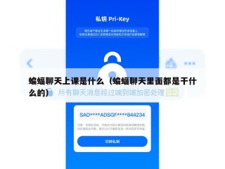 蝙蝠聊天上课是什么（蝙蝠聊天里面都是干什么的）
