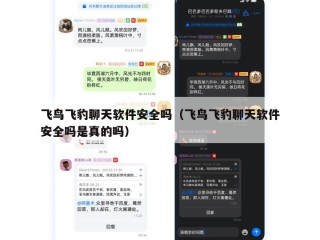 飞鸟飞豹聊天软件安全吗（飞鸟飞豹聊天软件安全吗是真的吗）