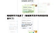 蝙蝠聊天不能用了（蝙蝠聊天软件有网络却登录不了）