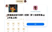 苹果商店搜不到萝卜密聊（萝卜投研苹果app不能上网）