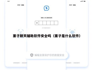 栗子聊天辅助软件安全吗（栗子是什么软件）