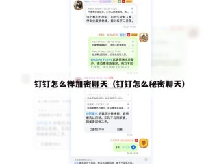 钉钉怎么样加密聊天（钉钉怎么秘密聊天）