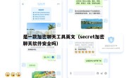 是一款加密聊天工具英文（secret加密聊天软件安全吗）
