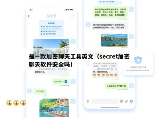 是一款加密聊天工具英文（secret加密聊天软件安全吗）