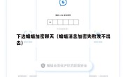下边蝙蝠加密聊天（蝙蝠消息加密失败发不出去）