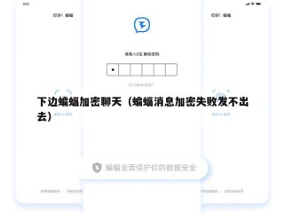 下边蝙蝠加密聊天（蝙蝠消息加密失败发不出去）