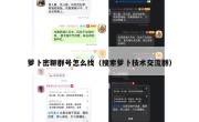 萝卜密聊群号怎么找（搜索萝卜技术交流群）
