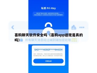 喜购聊天软件安全吗（喜购app返现是真的吗）