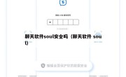 聊天软件soul安全吗（聊天软件 soul）