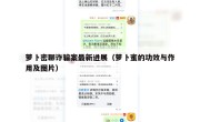 萝卜密聊诈骗案最新进展（萝卜蜜的功效与作用及图片）