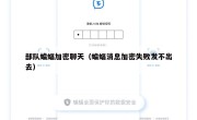 部队蝙蝠加密聊天（蝙蝠消息加密失败发不出去）