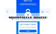蝙蝠加密聊天功能怎么用（蝙蝠加密消息）