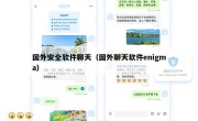 国外安全软件聊天（国外聊天软件enigma）