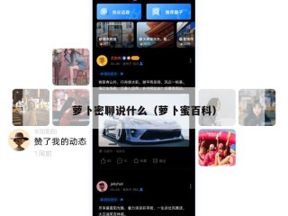 萝卜密聊说什么（萝卜蜜百科）