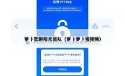 萝卜密聊阳光团队（萝卜萝卜蜜视频）