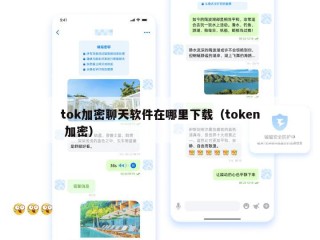 tok加密聊天软件在哪里下载（token 加密）