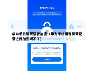 华为手机聊天语音加密（华为手机语音聊天记录进行加密听不了）