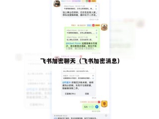 飞书加密聊天（飞书加密消息）