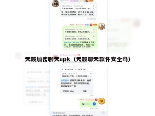 天籁加密聊天apk（天籁聊天软件安全吗）