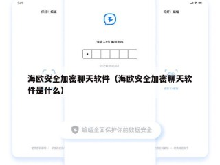 海欧安全加密聊天软件（海欧安全加密聊天软件是什么）