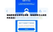 蝙蝠群里匿名聊天在哪里（蝙蝠群聊怎么撤回所有消息）