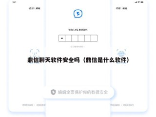 鼎信聊天软件安全吗（鼎信是什么软件）