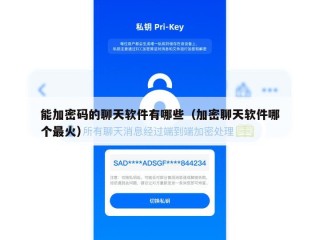 能加密码的聊天软件有哪些（加密聊天软件哪个最火）