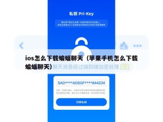 ios怎么下载蝙蝠聊天（苹果手机怎么下载蝙蝠聊天）
