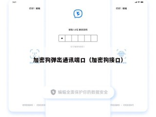加密狗弹出通讯端口（加密狗接口）