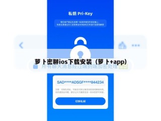 萝卜密聊ios下载安装（萝卜+app）