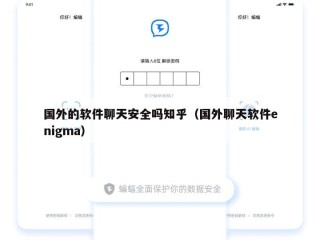 国外的软件聊天安全吗知乎（国外聊天软件enigma）