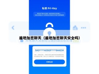 遍地加密聊天（遍地加密聊天安全吗）