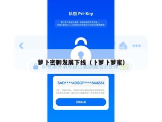 萝卜密聊发展下线（卜萝卜萝蜜）